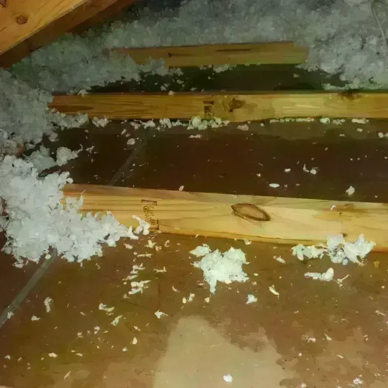 Attic Water Damage in Sanilac County, MI